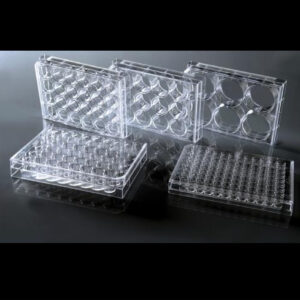 Non-Treated Cell Culture Plates