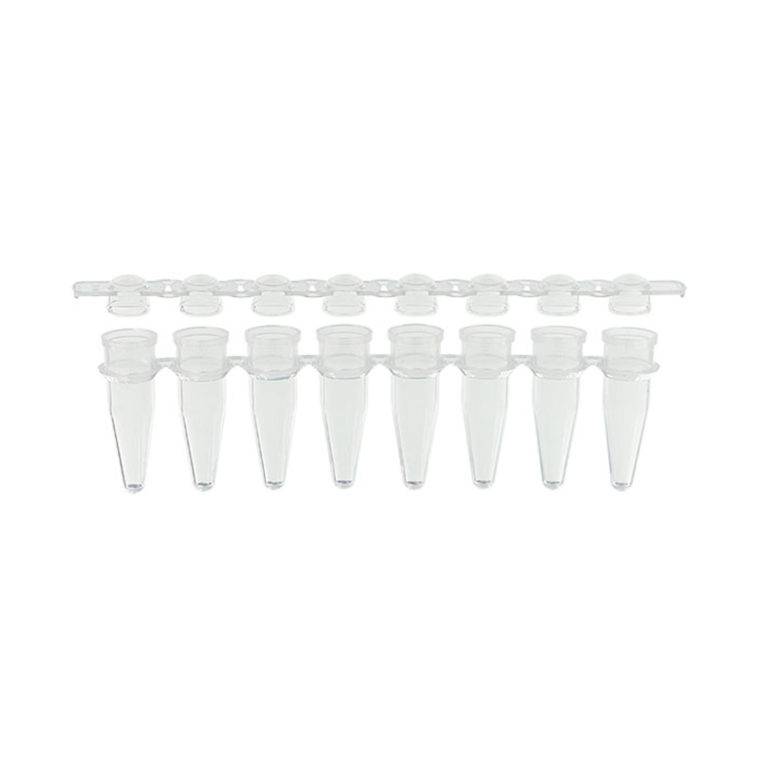 PCR 8-Strip Tube and Domed Cap Combined